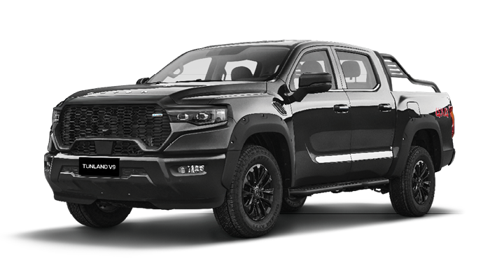
								Foton Tunland V9 full									