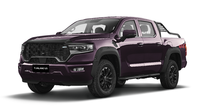 
								Foton Tunland V9 full									