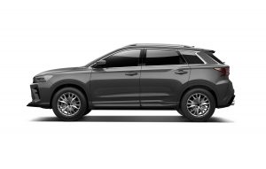 SWM G0 1F Premium, 1.5 manual