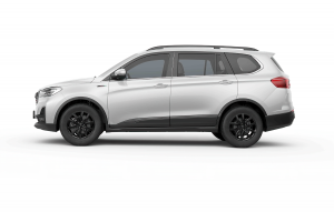 SWM G0 5 Delux, 2.0 manual